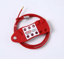 Economy fish type cable lock